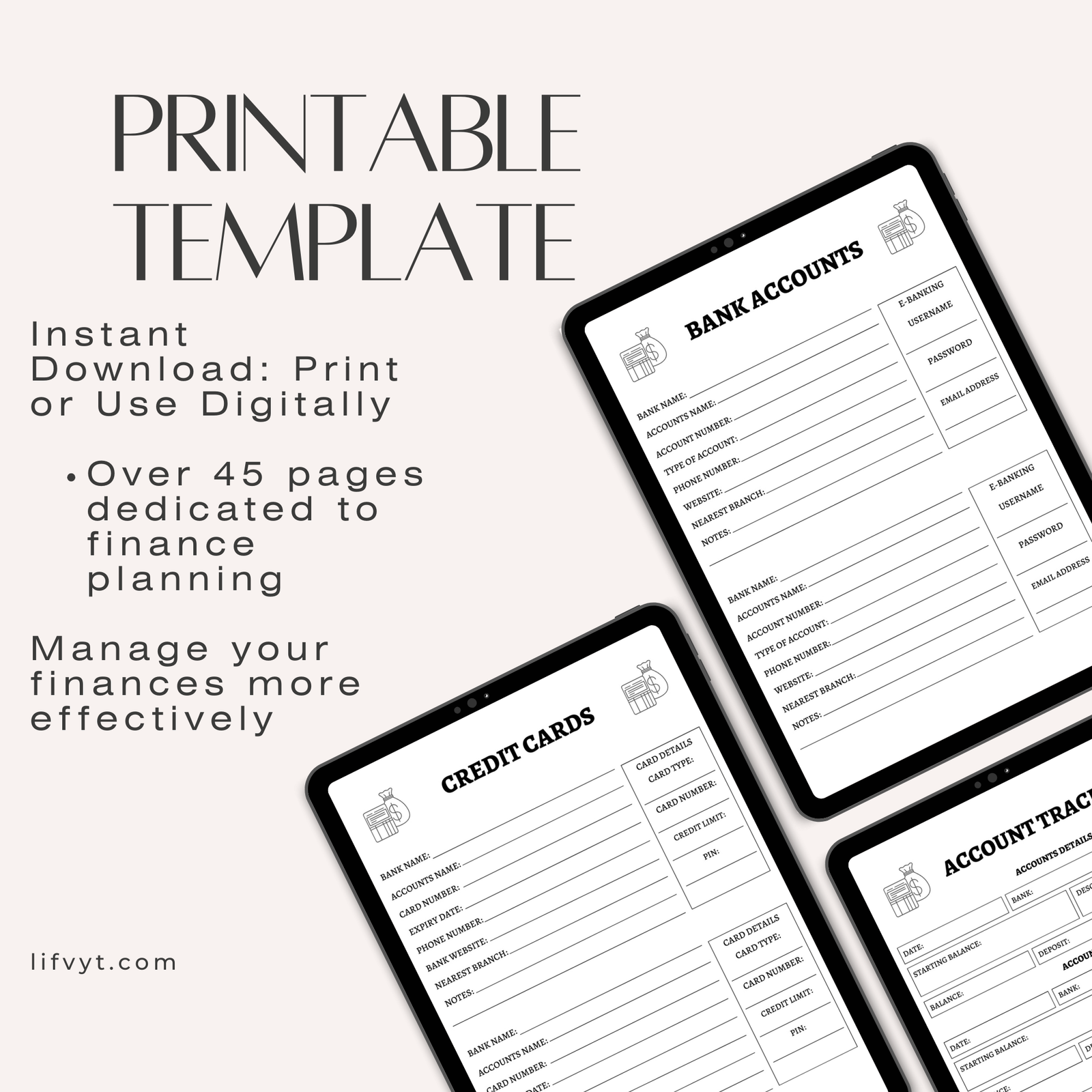 Budge & financial Planner