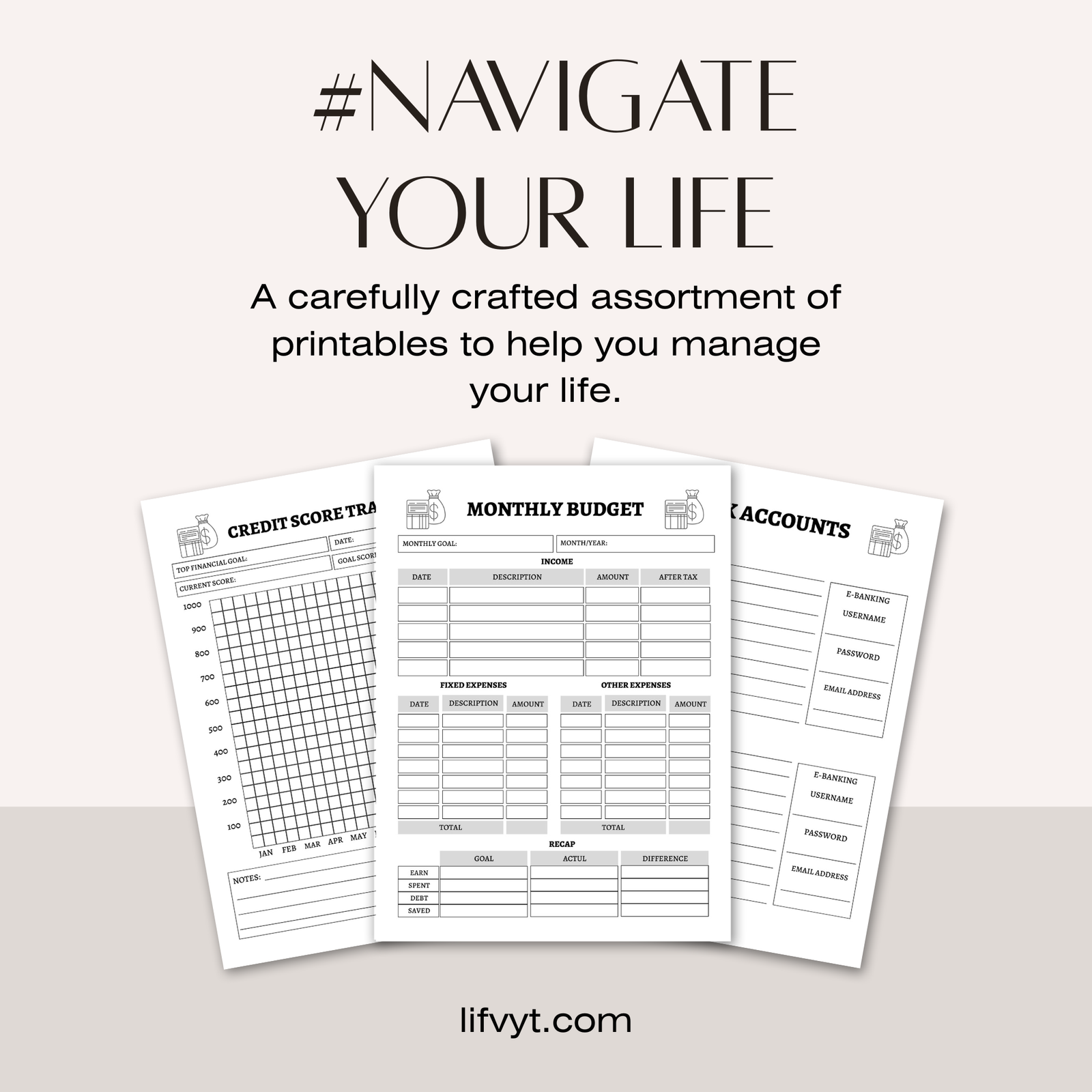 Budge & financial Planner