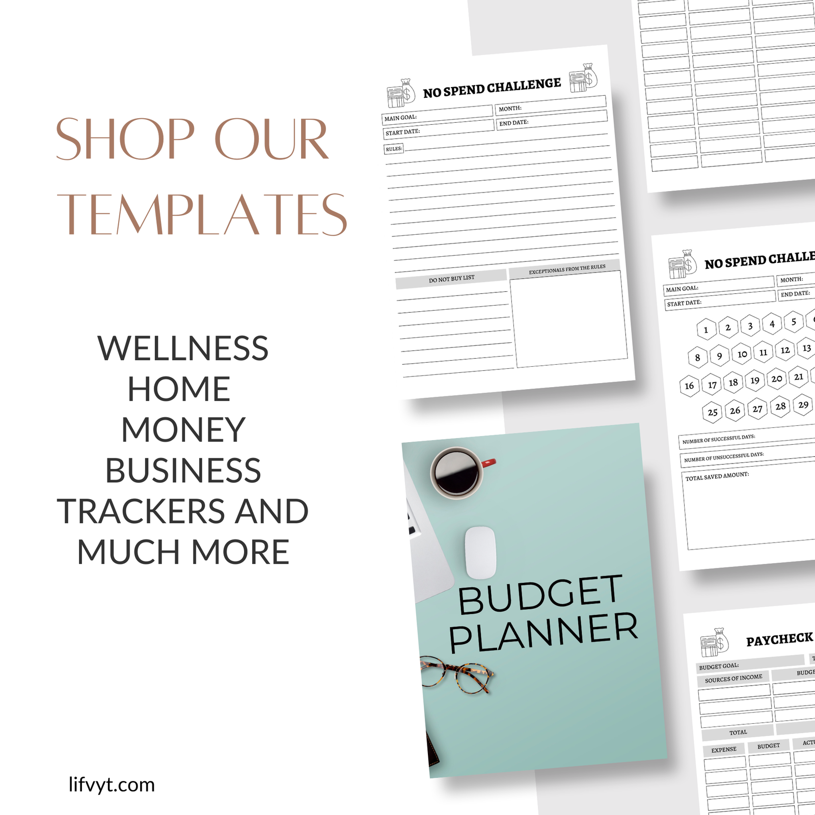 Budge & financial Planner