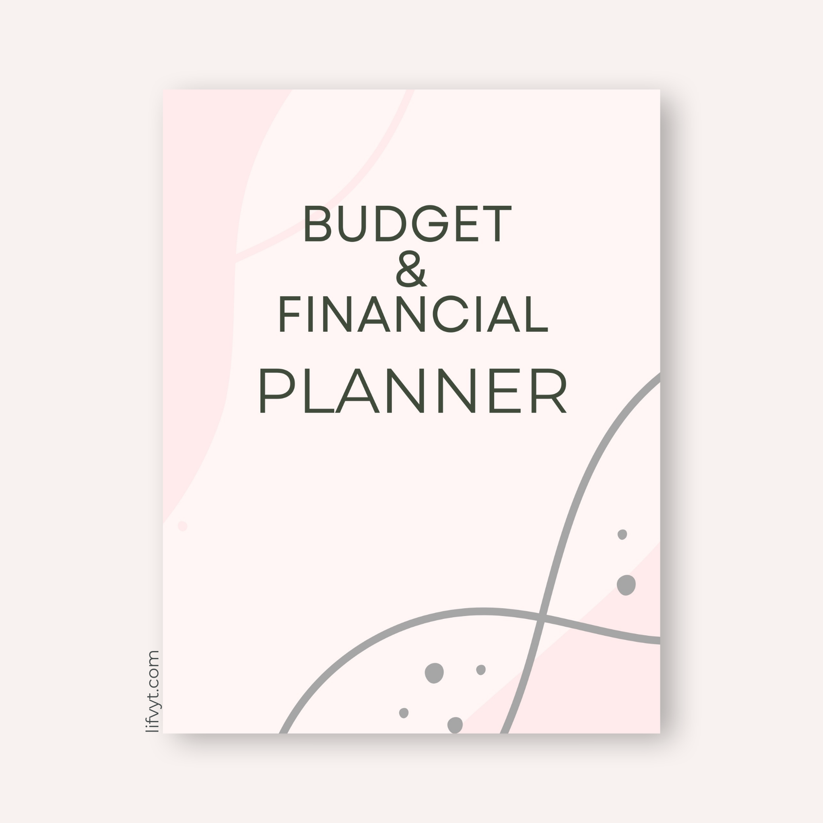 Budget and Financial Planner