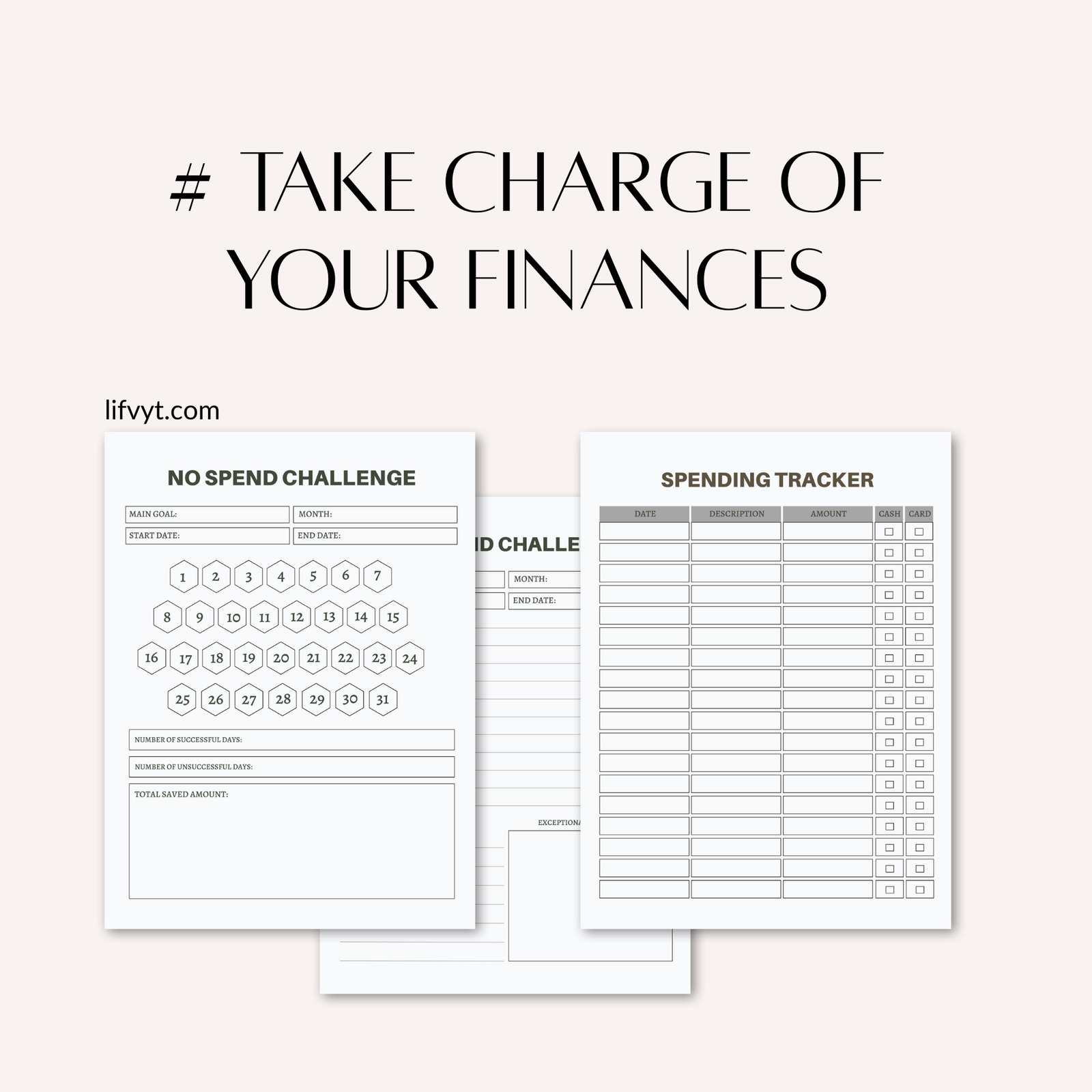 Budge & financial Planner