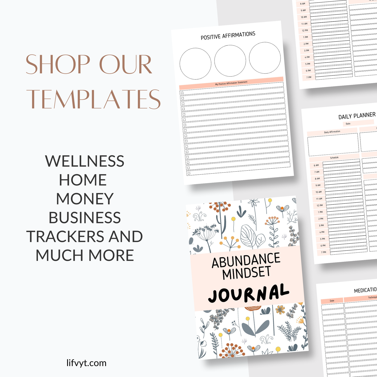 Abundance Mindset Journal