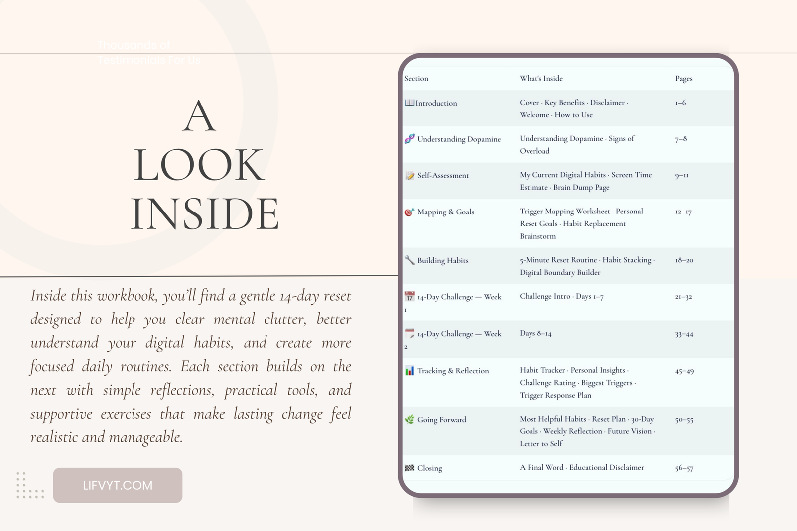 Mental clarity workbook for dopamine detox and holistic focus strategies to improve daily concentration and executive function.