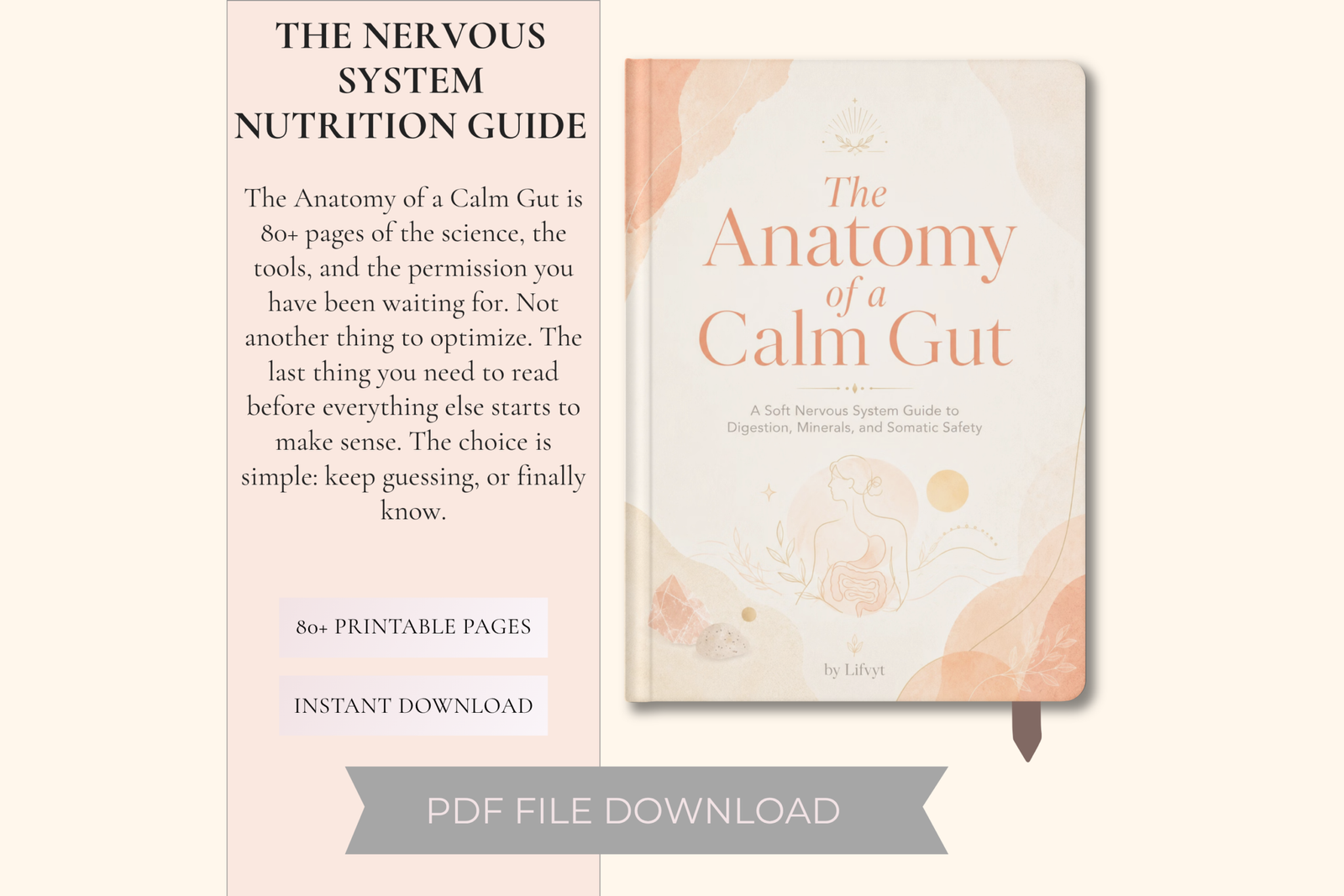 The Anatomy of a Calm Gut by Lifvyt, a soft wellness guide about digestion, minerals, nervous system safety, vagus nerve support, and gut-brain health.