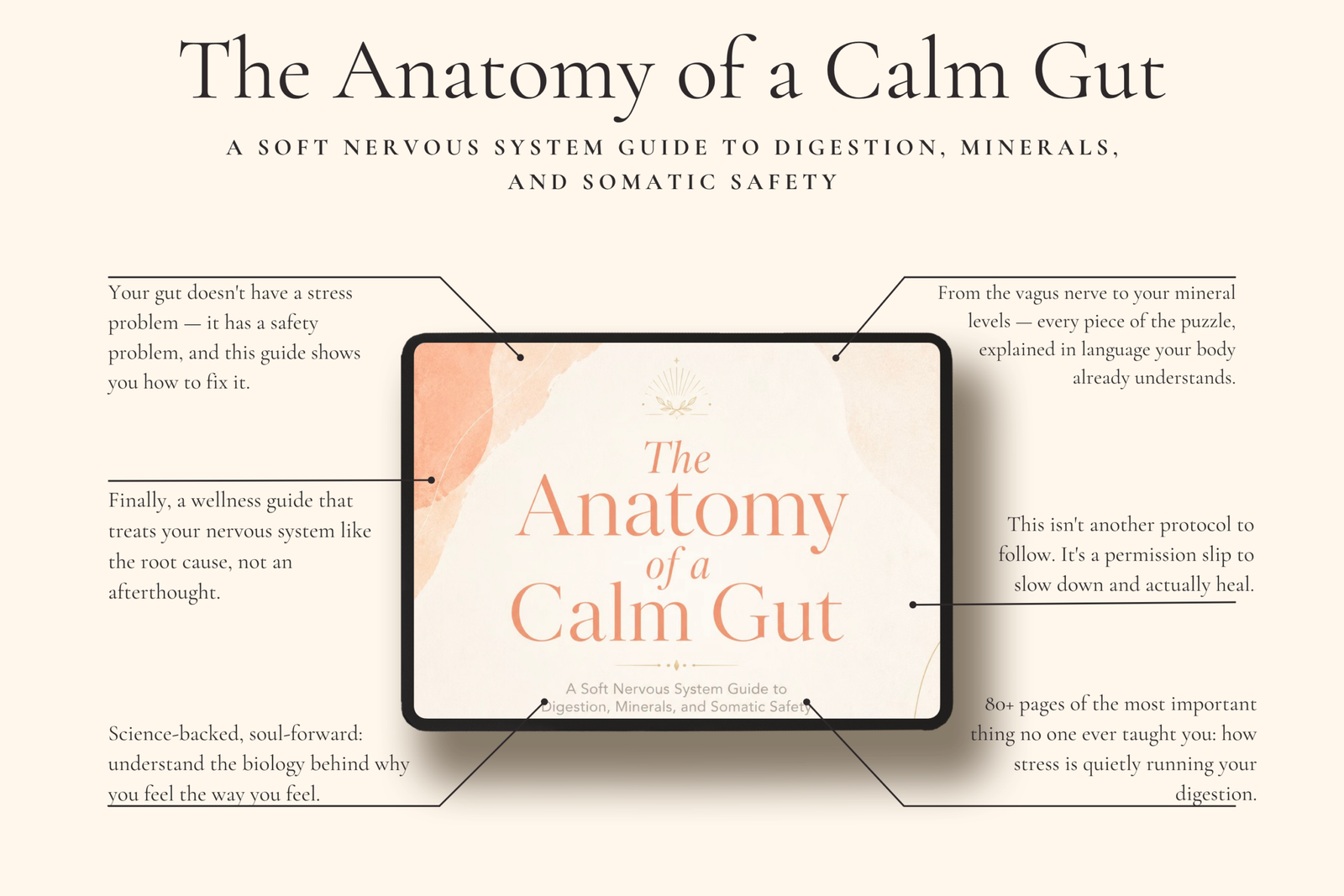 The Anatomy of a Calm Gut | Nervous System Digestion Guide - Image 2