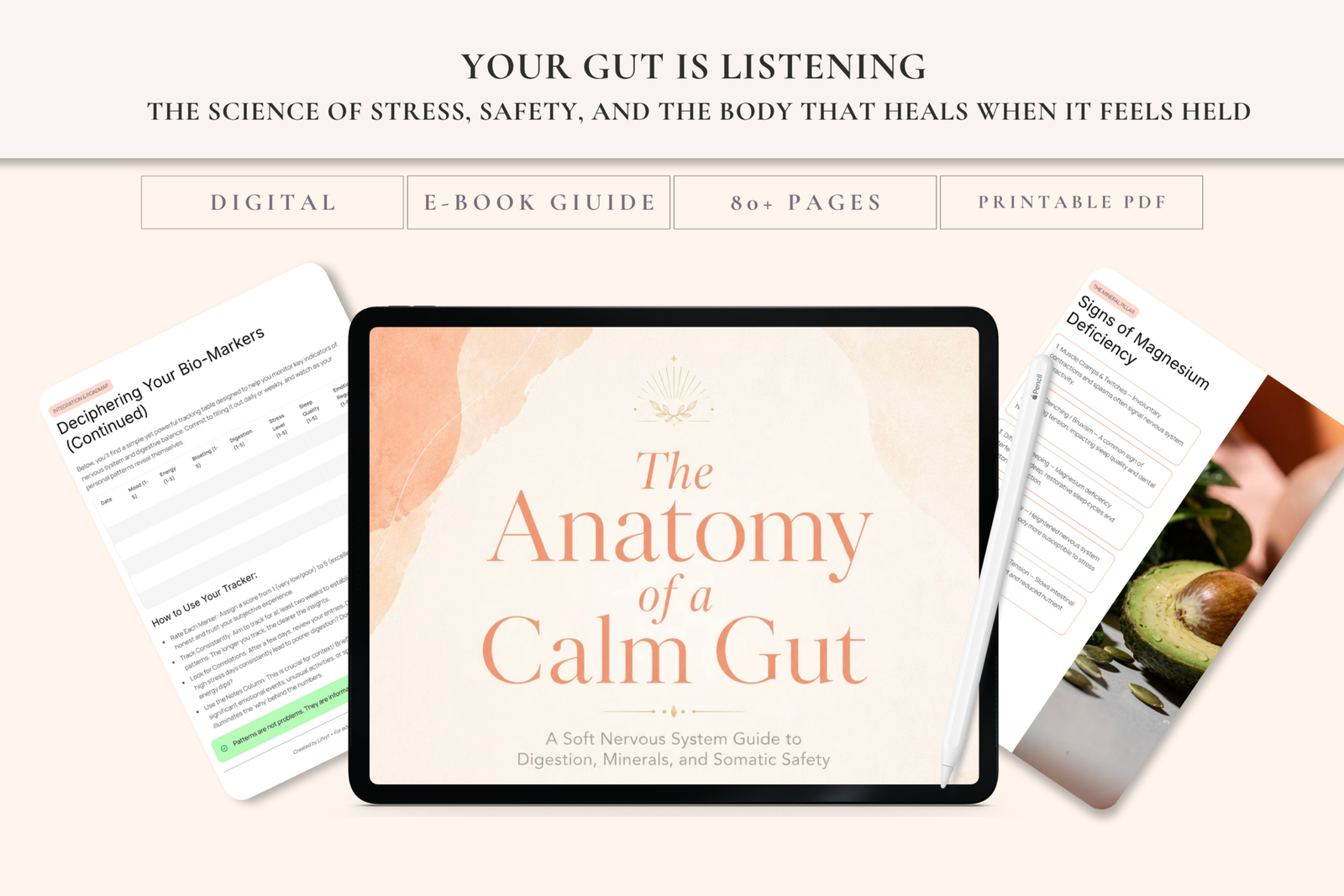 The Anatomy of a Calm Gut | Nervous System Digestion Guide - Image 5