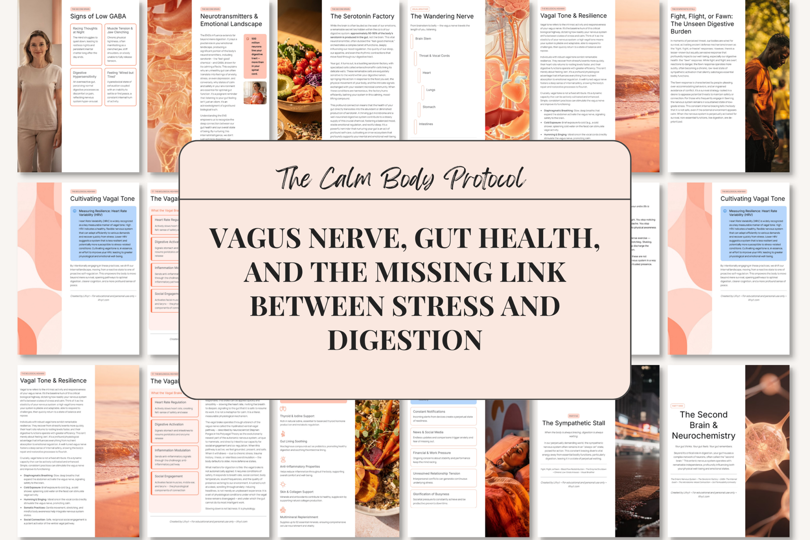 The Anatomy of a Calm Gut | Nervous System Digestion Guide - Image 6