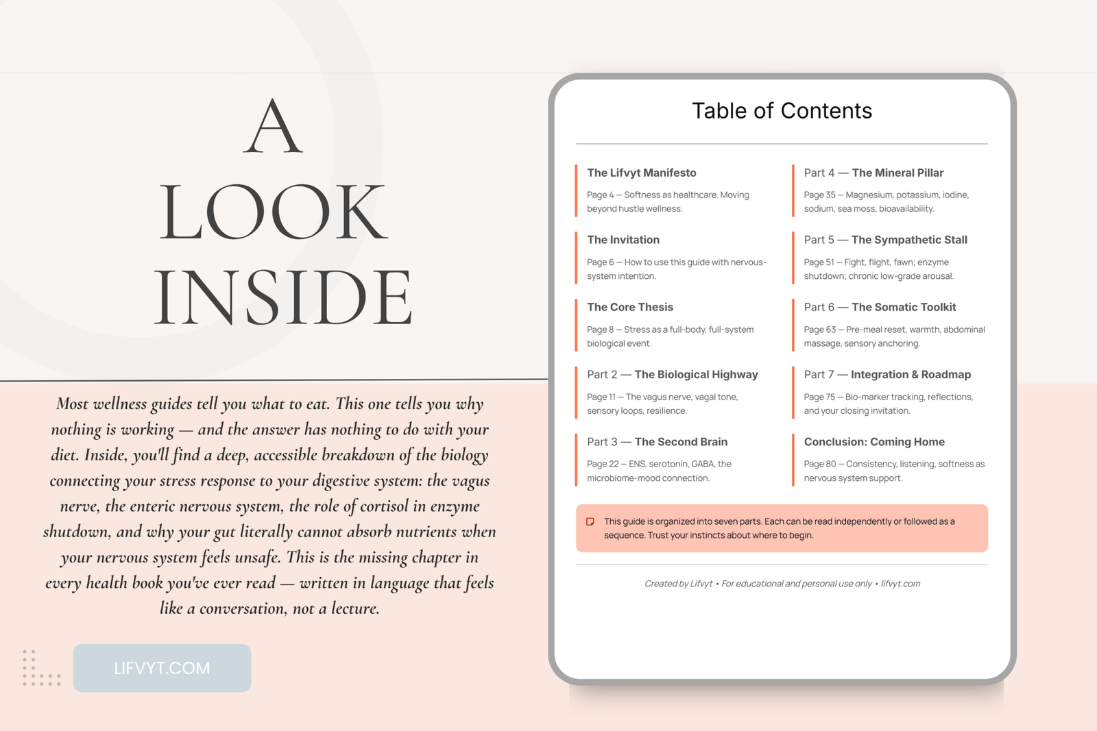The Anatomy of a Calm Gut | Nervous System Digestion Guide - Image 7