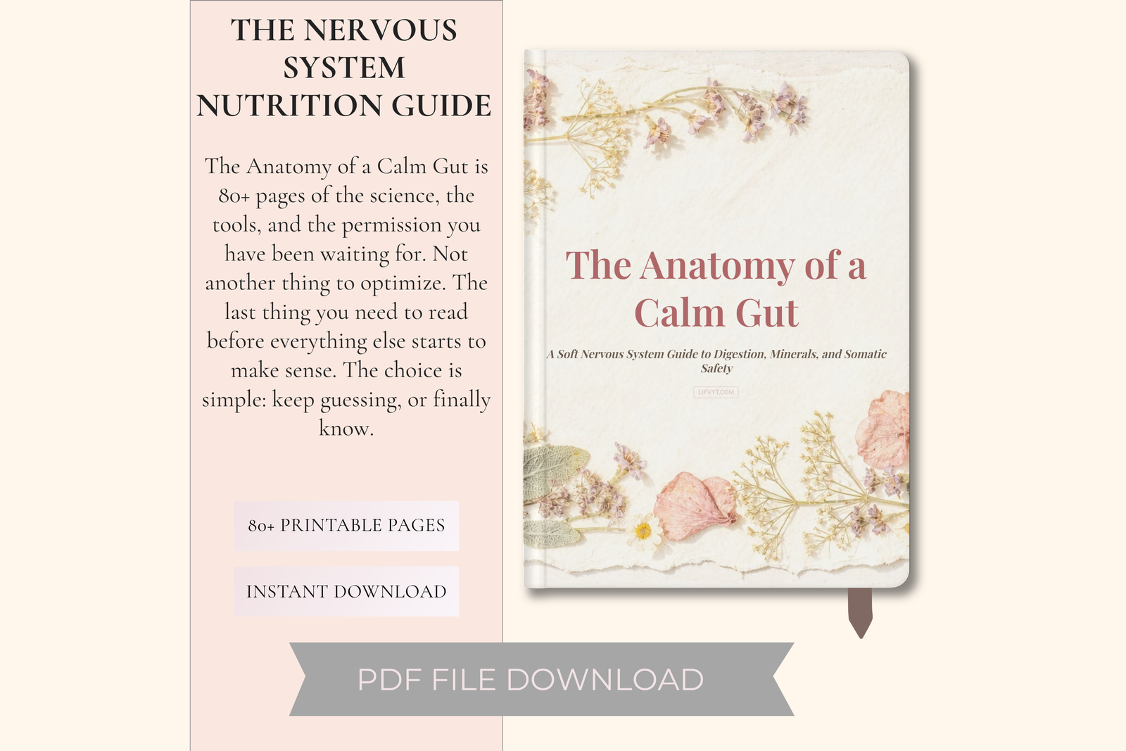 The Anatomy of a Calm Gut product cover
