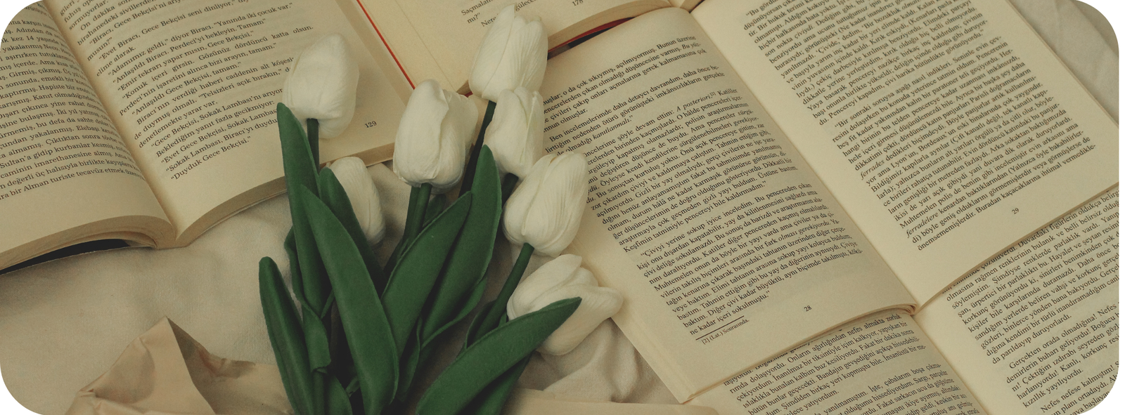 Open book with white flowers in soft natural light for a quiet reading sanctuary
