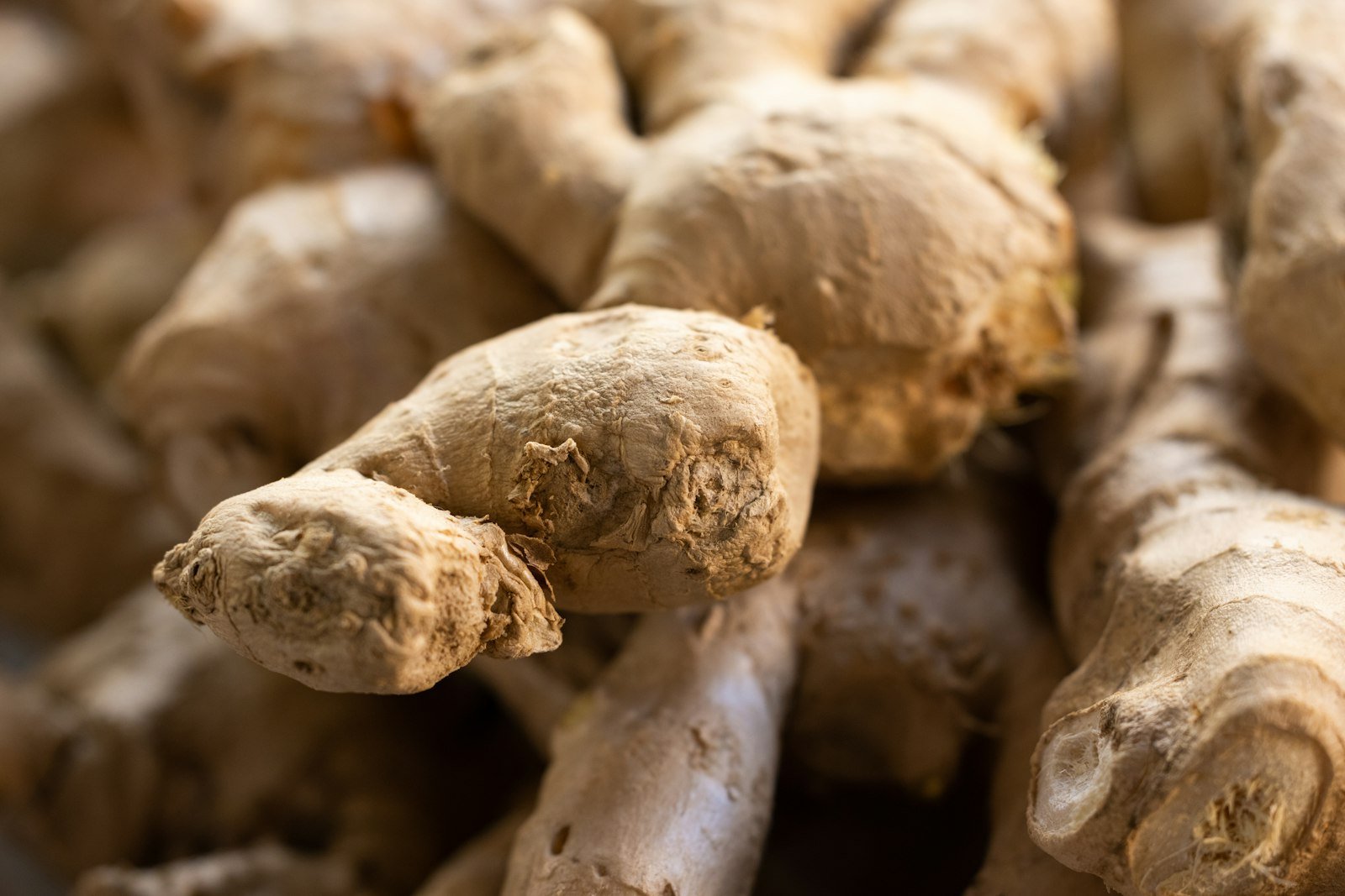 Fresh ginger rhizomes arranged at a market in warm natural light