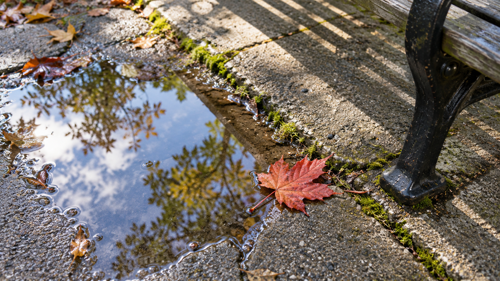 Red fallen leaf beside a shallow puddle reflecting trees and blue sky near a park bench.